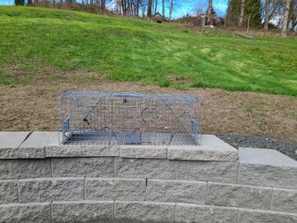 2 Sided Steel Racoon Trap