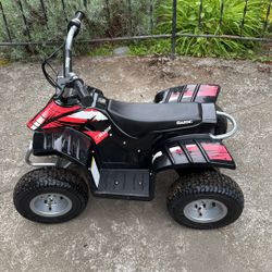 Kids Quad, 4-wheeler