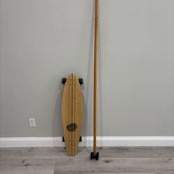 Sector 9 longboard with Big Stick for sidewalk paddle boarding.