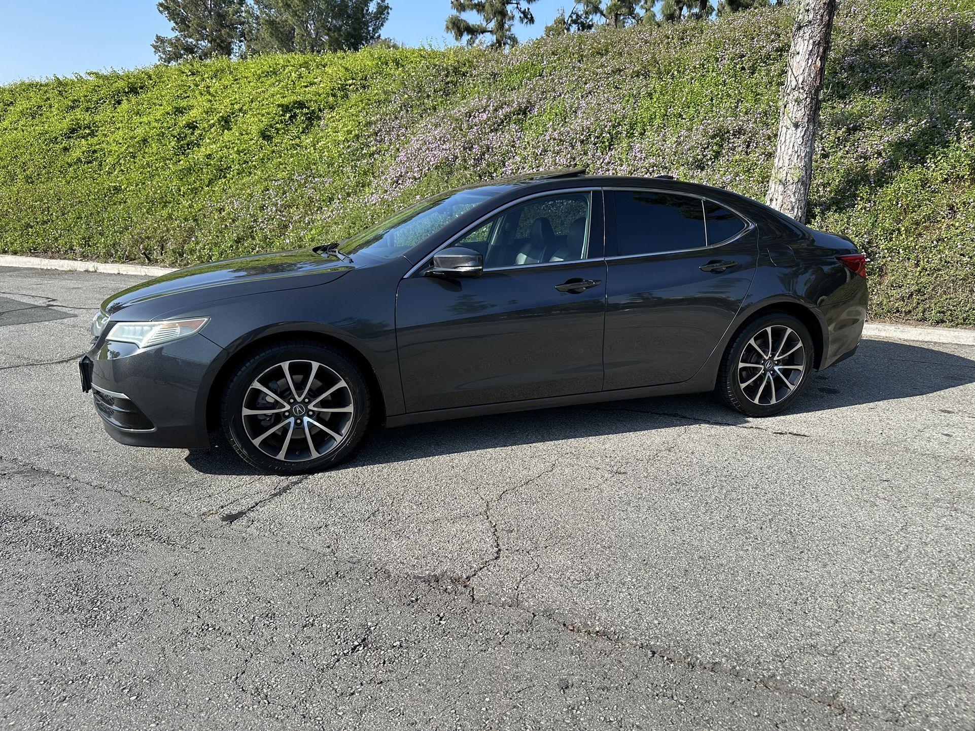 2015 Acura TLX