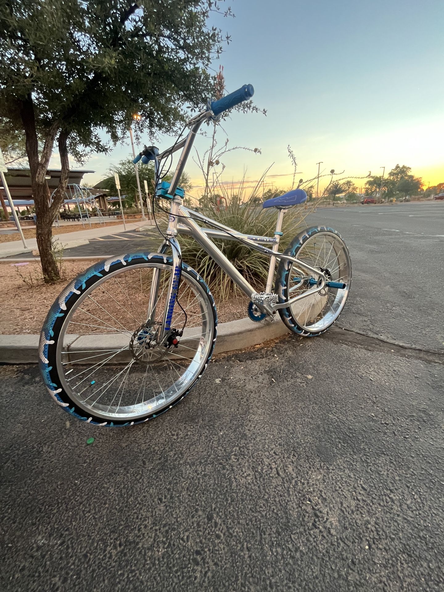 2020 Se Monster Quad 29” Wheelie Bike/cruiser