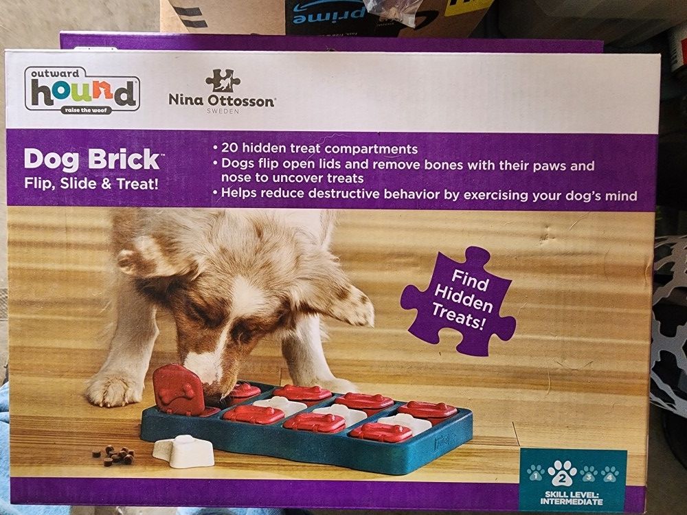 Dog Brick Treat Aptitude Puzzle