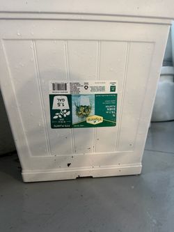 Plant container patio