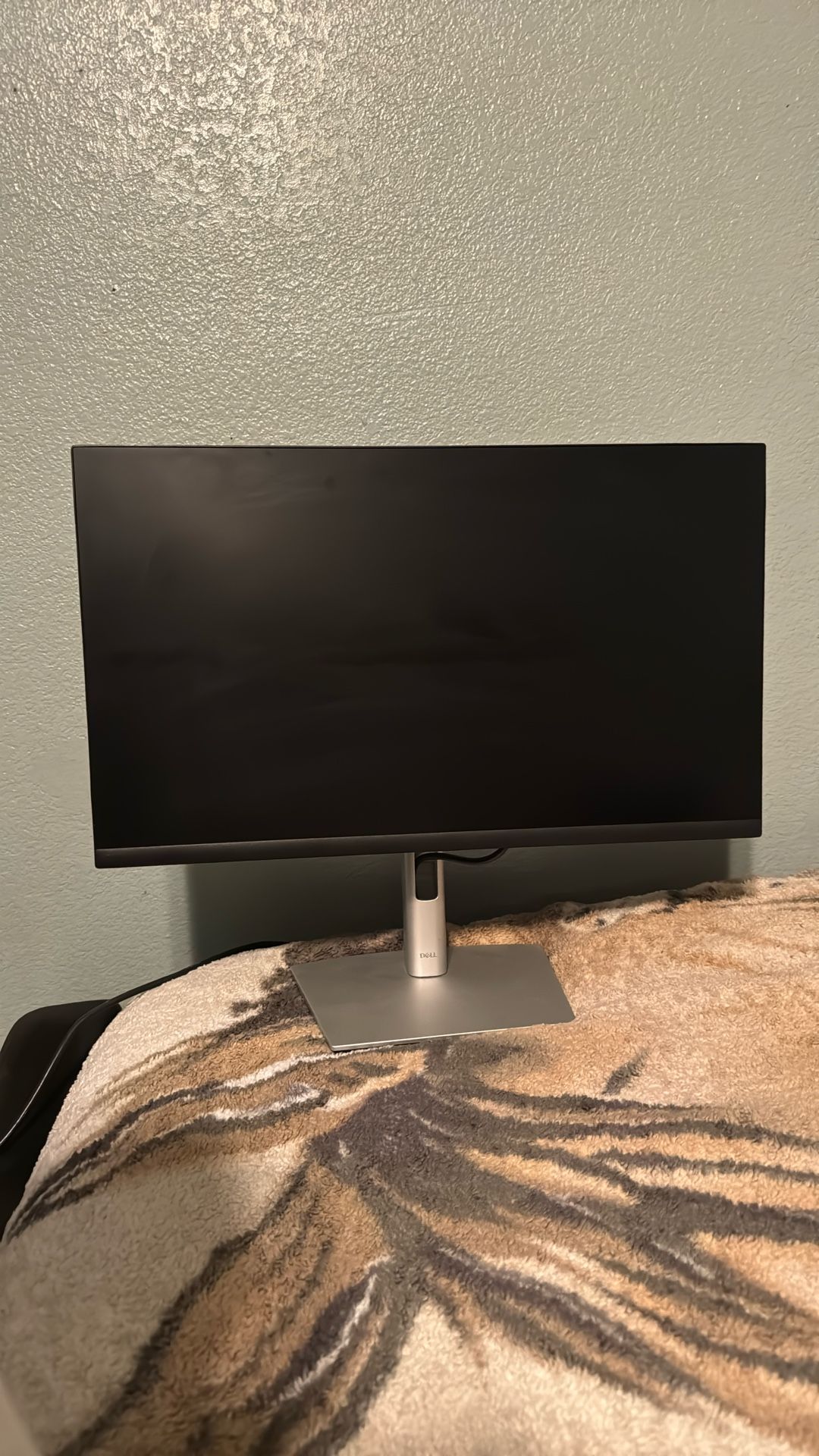 Computer Monitor 
