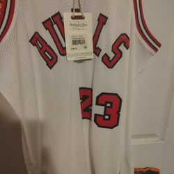 Authentic Mitchell And Ness Jordan Rookie Jersey