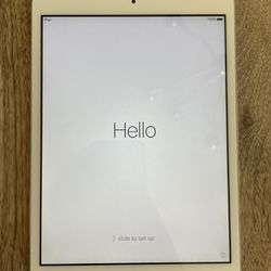 iPad mini  (white) 