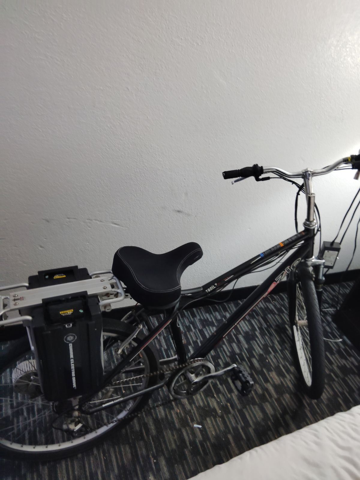 Electric Bike