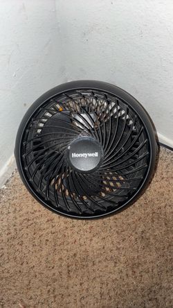 Little fan