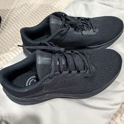 Nike Winflo 10