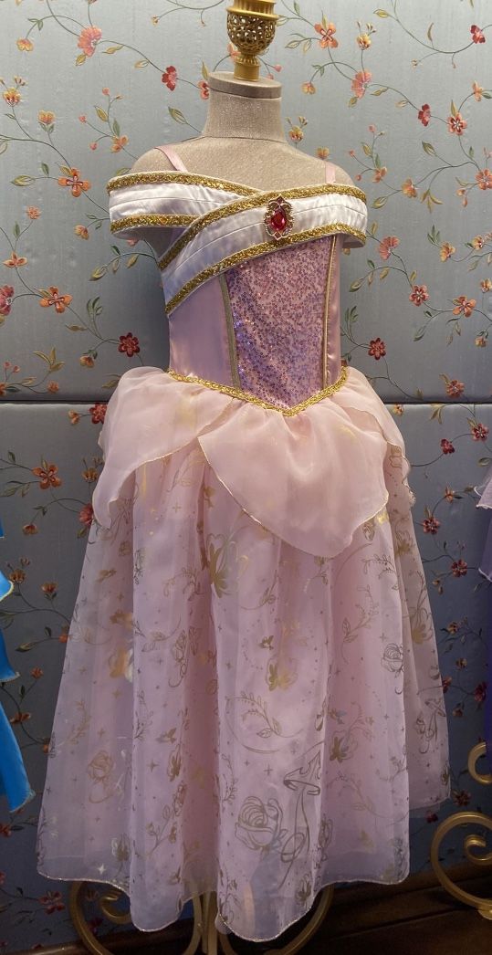 Disneyland Aurora Dress