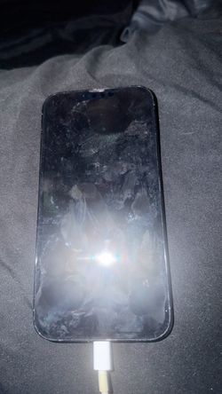 iPhone 13 Pro Max unlocked