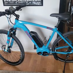 Custom Gepida Fastida X10 ebike with Bosch Performance Line Speed motor