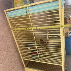 Bird Cage