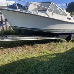 Boat Project 20 Ft With Trailer Shamrock ☘️ 