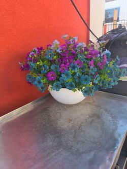 Plants