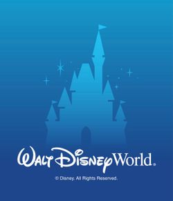 4 Disney Hopper Tickets