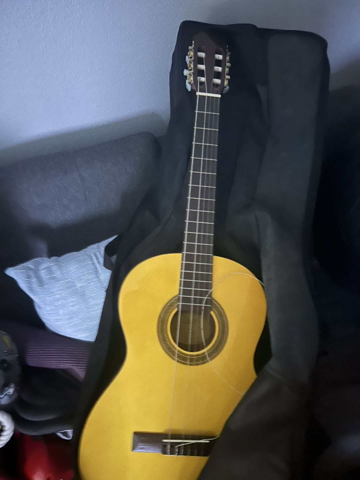 Guitar For Beginner