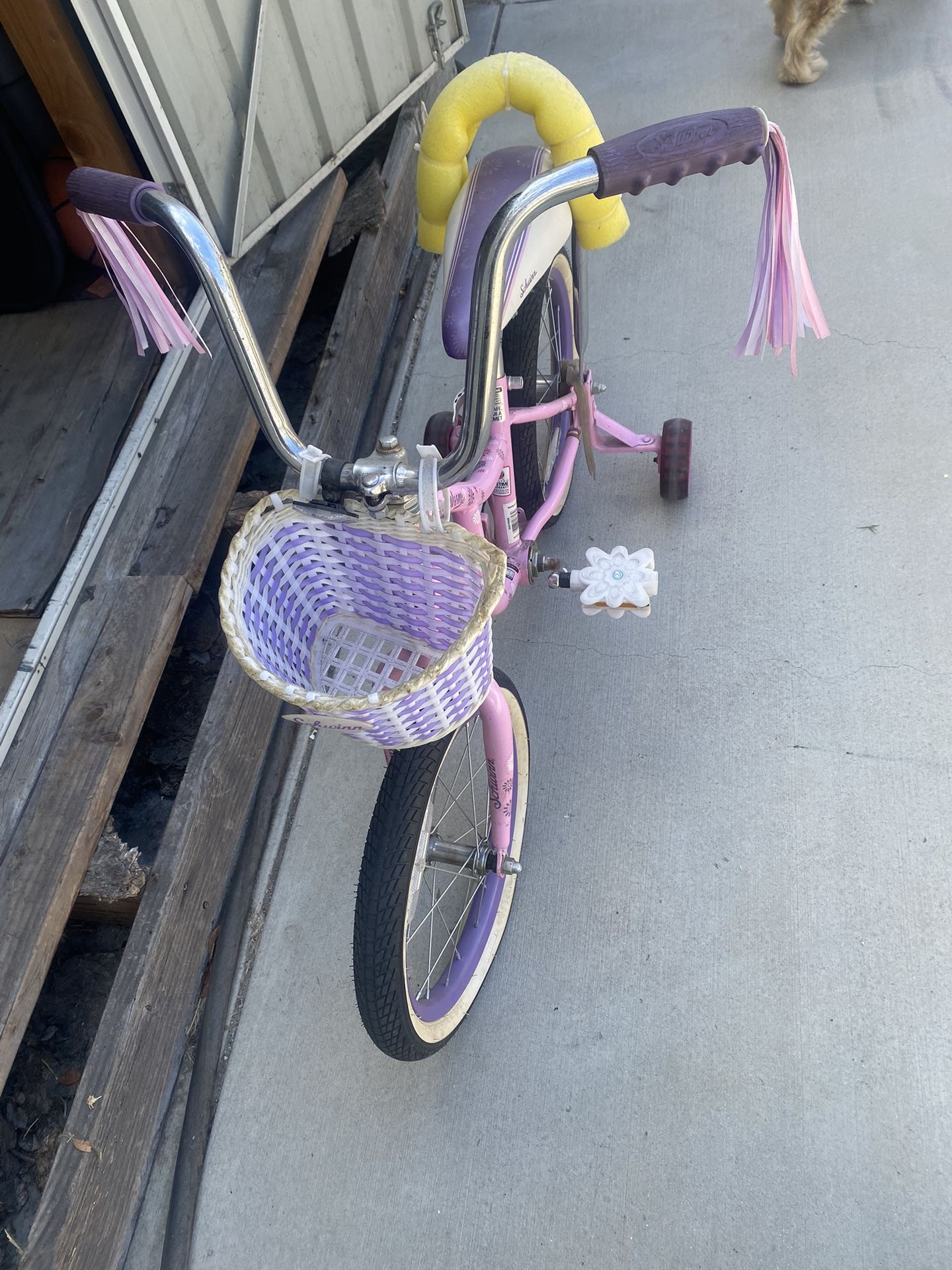 16” Girl Bike