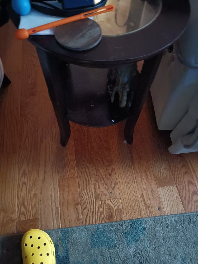 Cocktail Table And End Table
