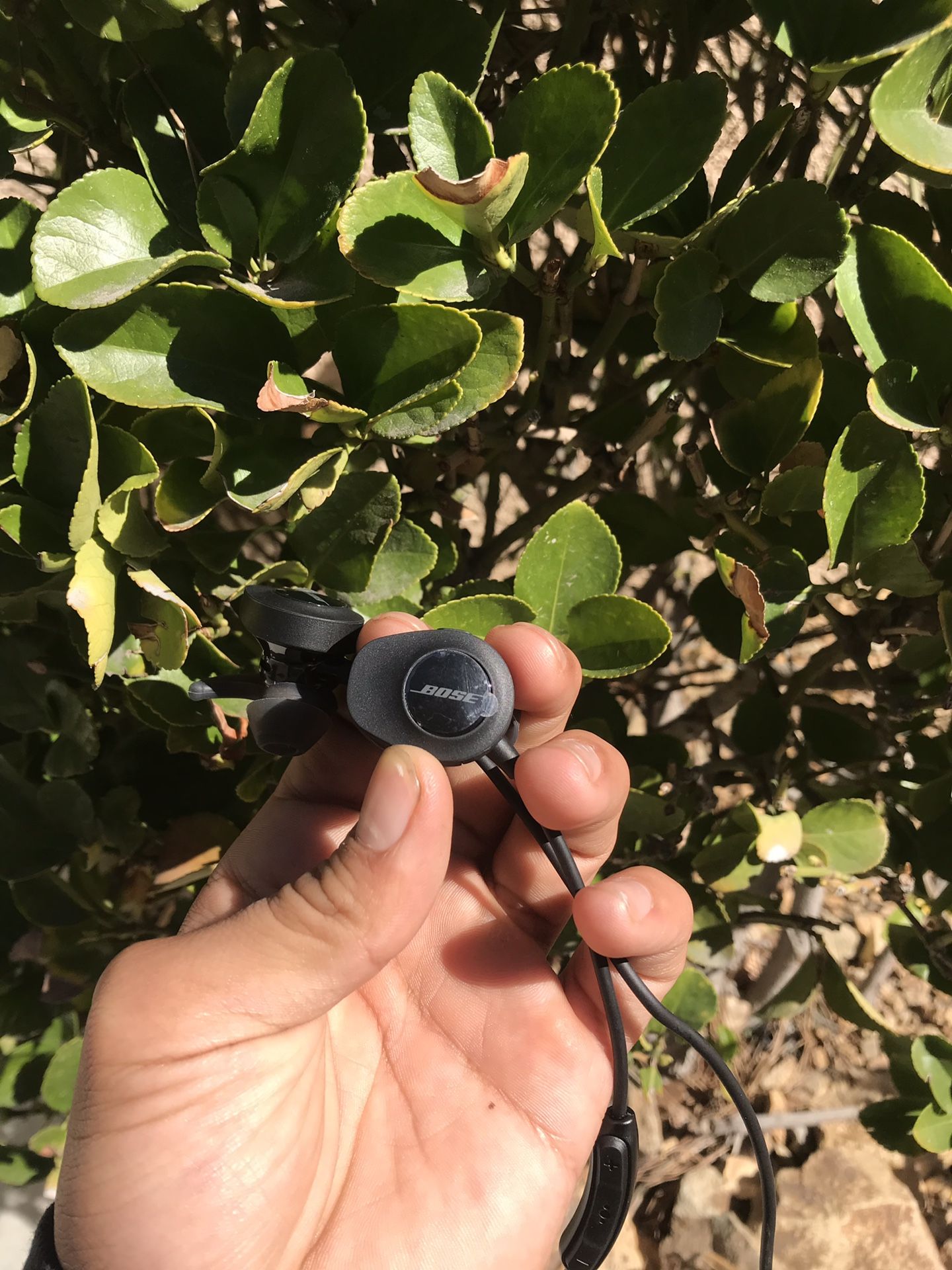 Bose Soundsport Earphones