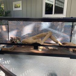 Reptile Glass Enclosure