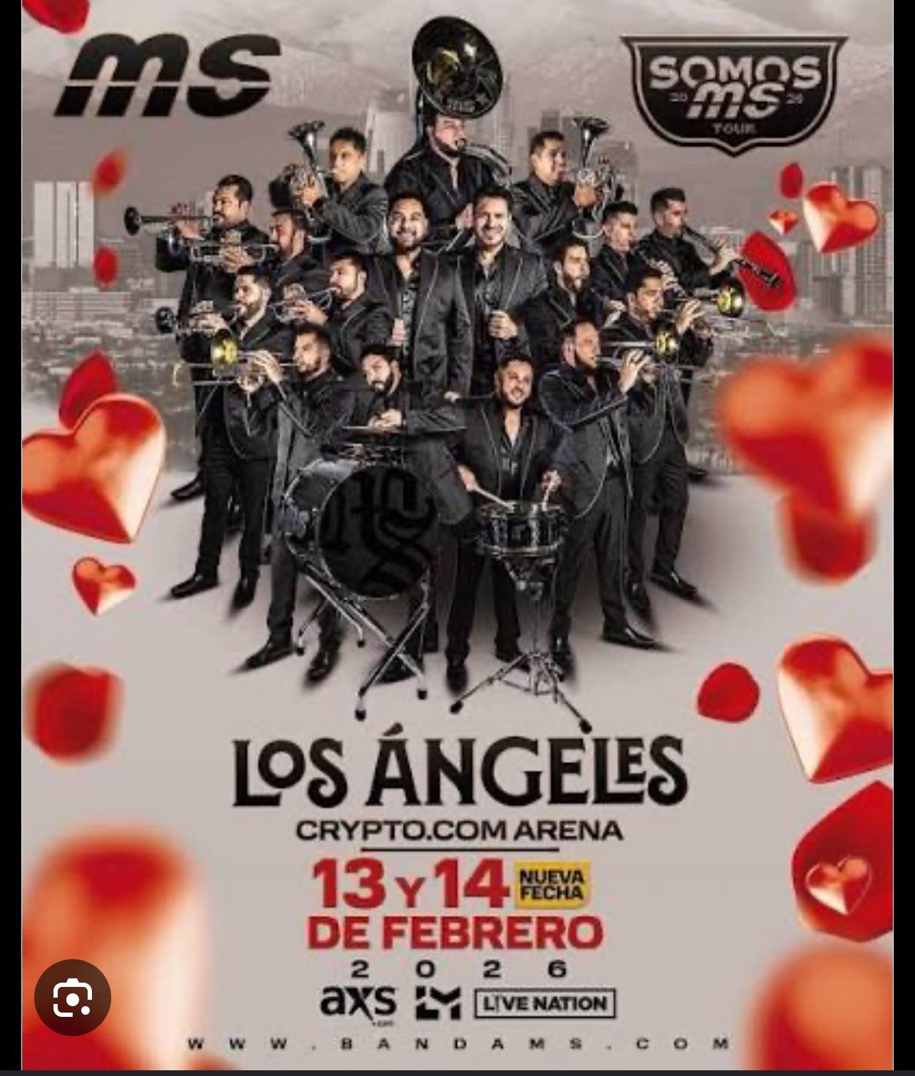 BANDA MS FEB 14 SECTION VIP P17 6 BOLETOS