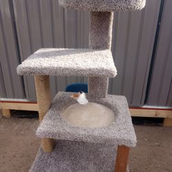 Cat Tree