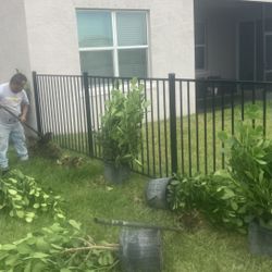 Clusias Perfect For Privacy All Sizes Available