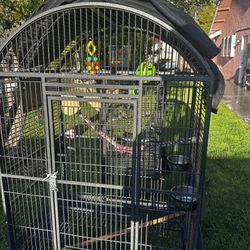Two Bird Cages 