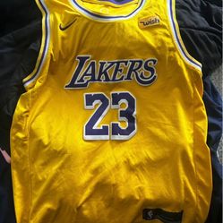 LeBron James Jersey 