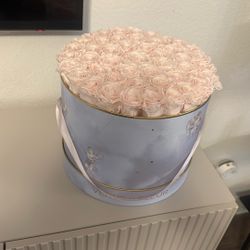 Venus Et fleur Flowers 