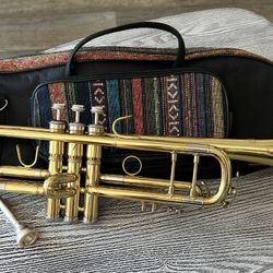 Trumpet with cool carry case in excellent condition, complete with mouthpiece. $85