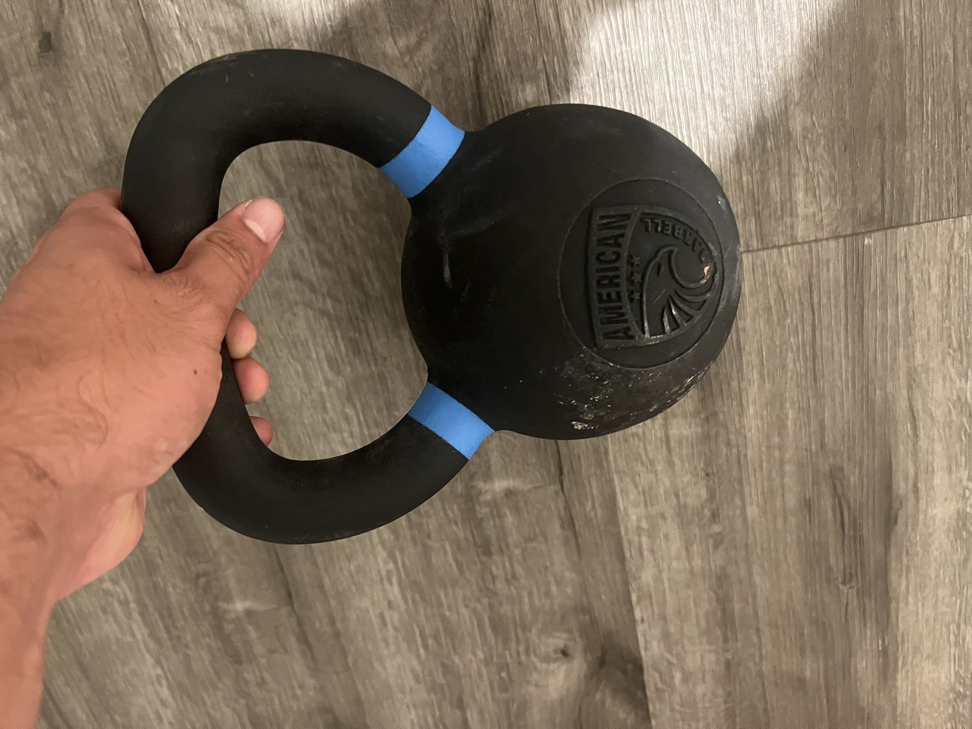 Soild Cast Iron 26 Pound Kettlebell