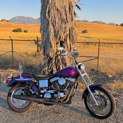 2000 Harley Dyna Fxds Convertible 