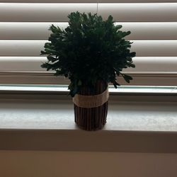 Decorative Arrangement