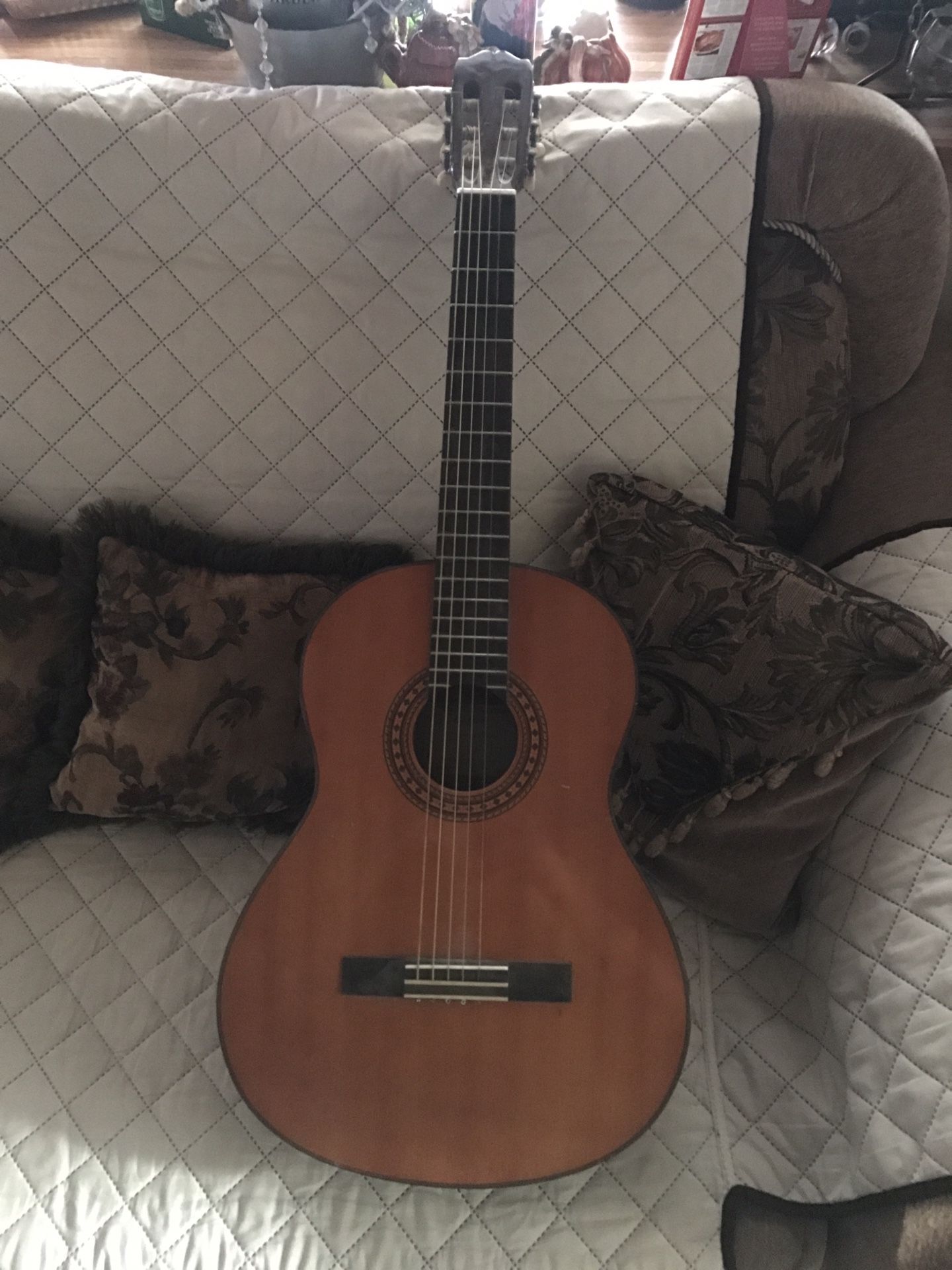 Takamine G116 Acoustic Classical Guitar