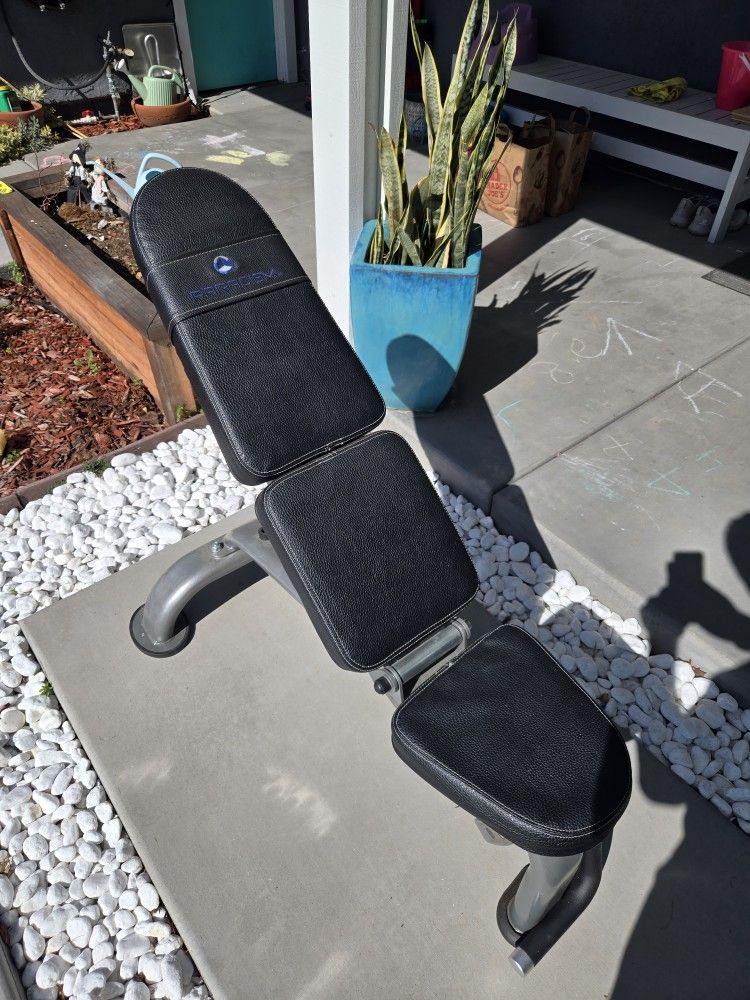 Paradigm Agility Weight Bench.