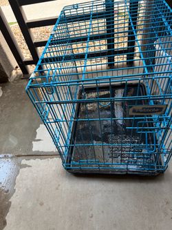 Blue dog kennel