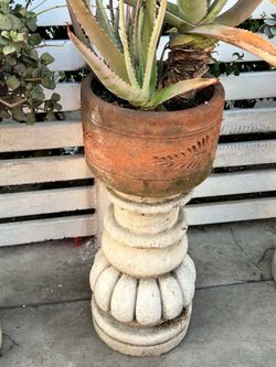 Planter with plant $20