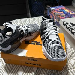 Brand New Shoes 10.5m