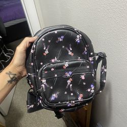 Purses/Backpack 