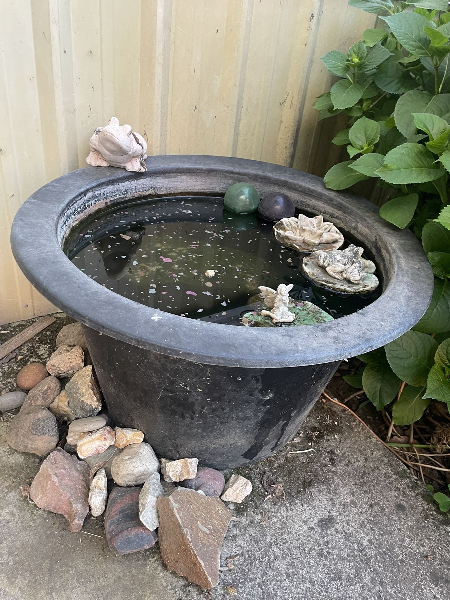 Free Fish tank And Fish