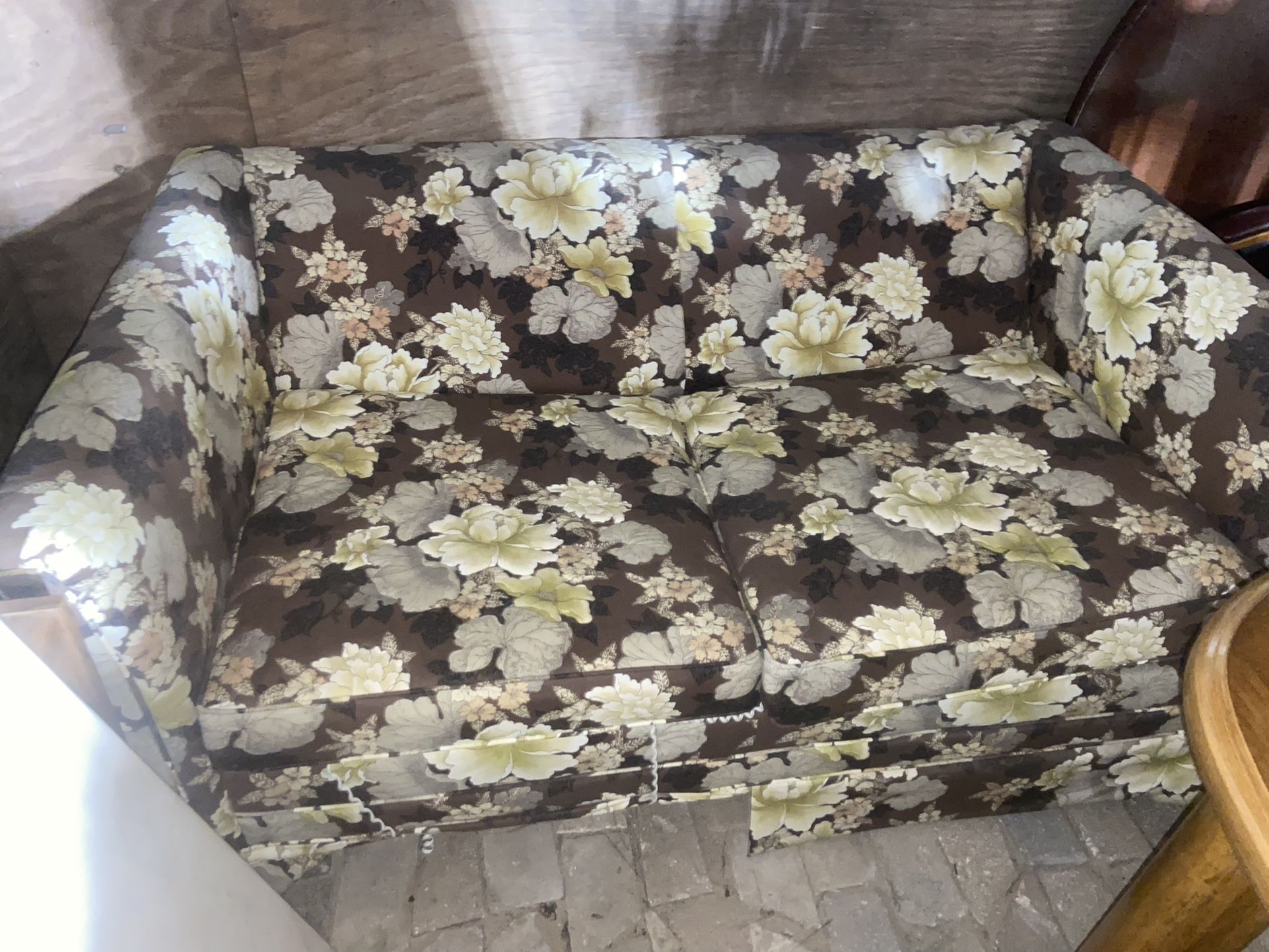 Beautiful 2 Seat Twin Pull Out Sofa Bed