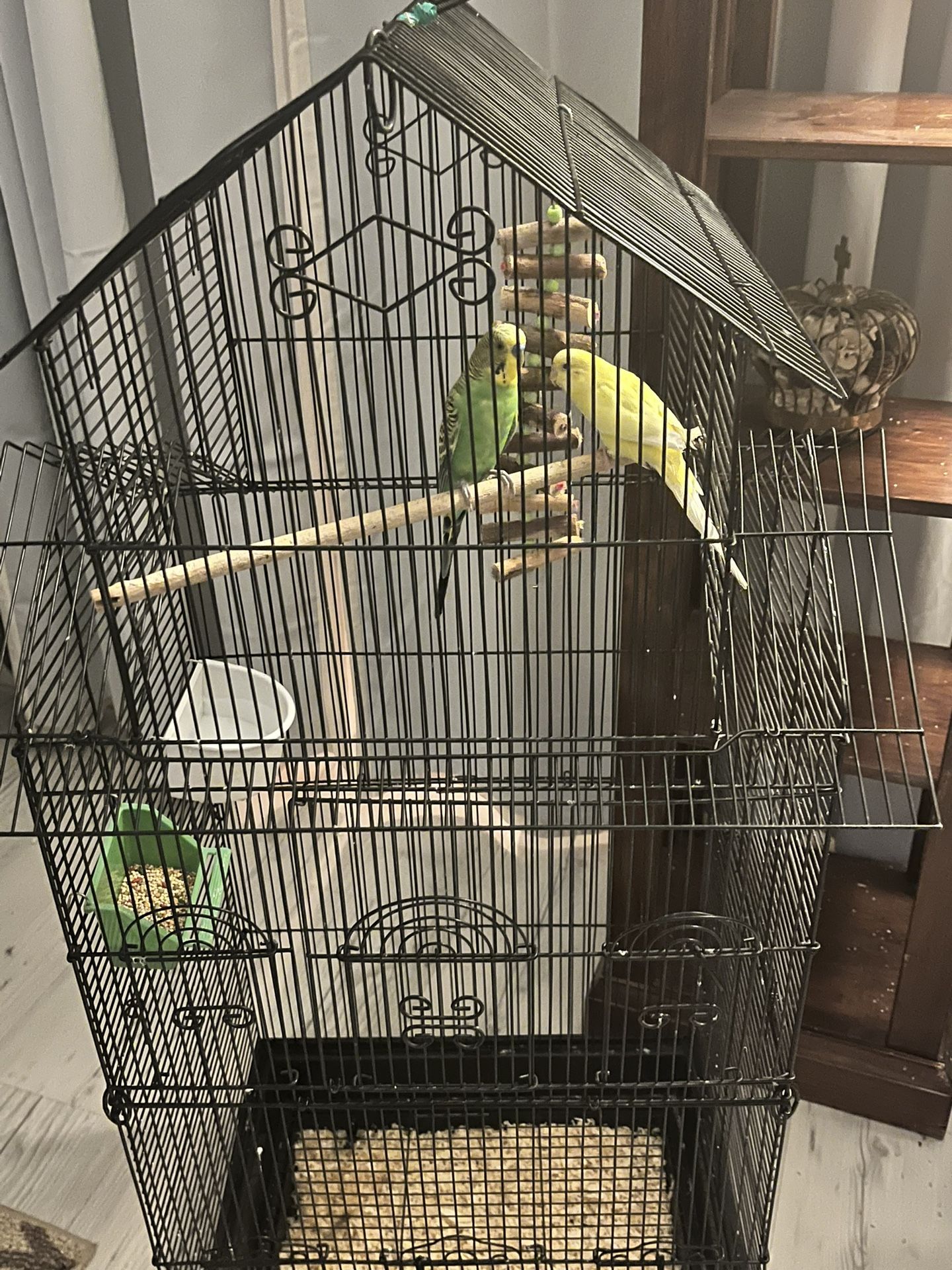 Bird Parakeet Cage Metal Everything Included