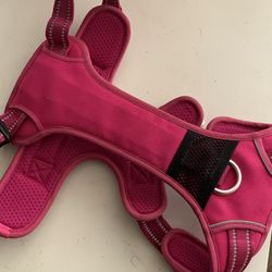 $10 Dog Harness
