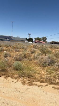 LAND FOR SALE BY OWNER RESIDENTIAL 0.24 ACRESS CALIFORNIA CITY ELECTRICITY NEAR,A LOT HOUSES NEAR AREA FOR ANY QUESTION TEXT ME PLEASE SERIOUS PERSONS