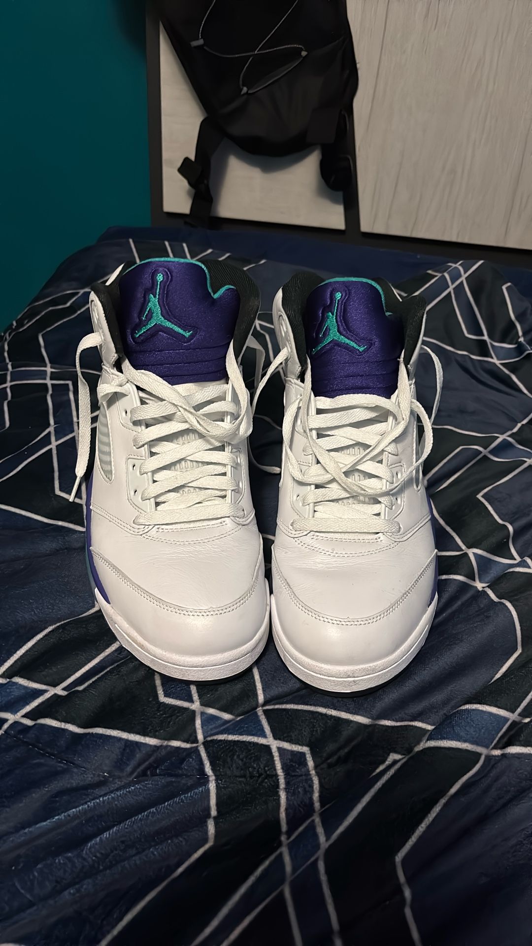 Nike Air Jordan 5 Grape Size 11.5