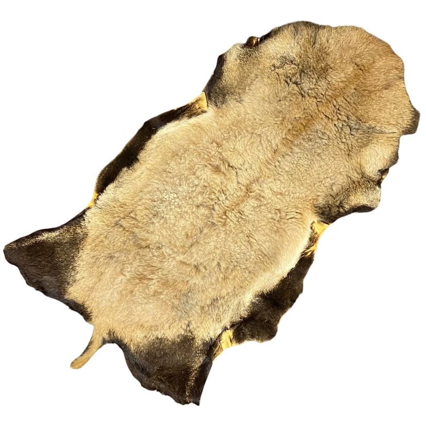 Deer Skin Fur Hide Rug Taxidermy Hunting Rustic Cabin Wall Hanging 42" x 22"