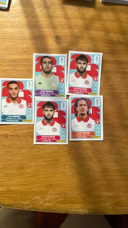 Tunisia panini sticker team