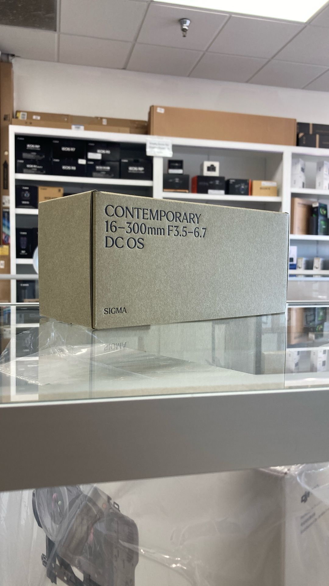 Sigma 16-300mm F3.5-6.7 For Canon RF (6/18)